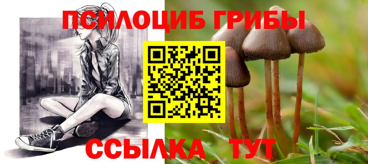 Псилоцибиновые грибы MAGIC MUSHROOMS  Вход с VPN  купить  цена  Омск 
