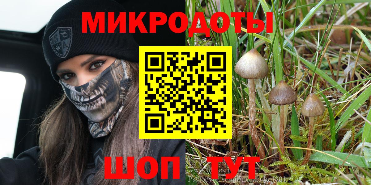Псилоцибиновые грибы Cubensis Омск